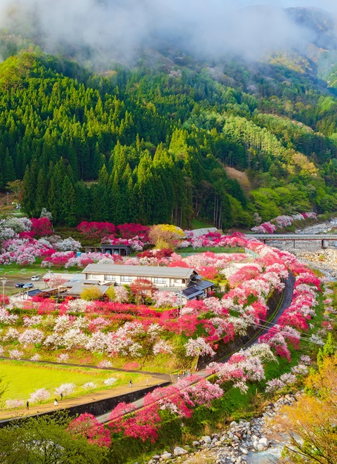 昼神温泉 石苔亭いしだ